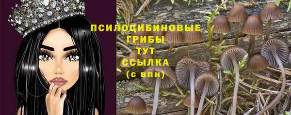амф Абаза