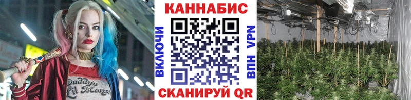 Бошки марихуана MAZAR  Урень 